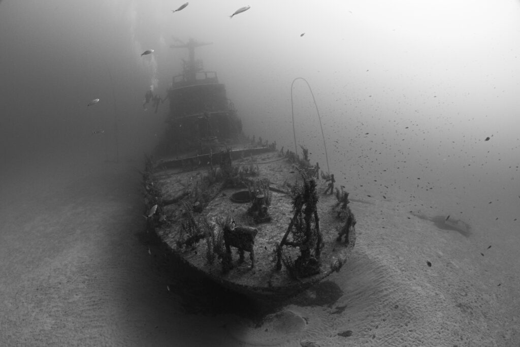 Wreck p29 malta