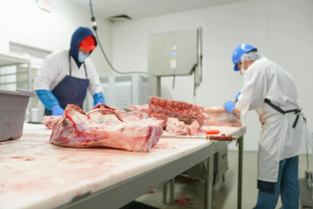 新北、高雄、桃園接連爆發食物中毒 專家警告系統失靈須加強食安管理