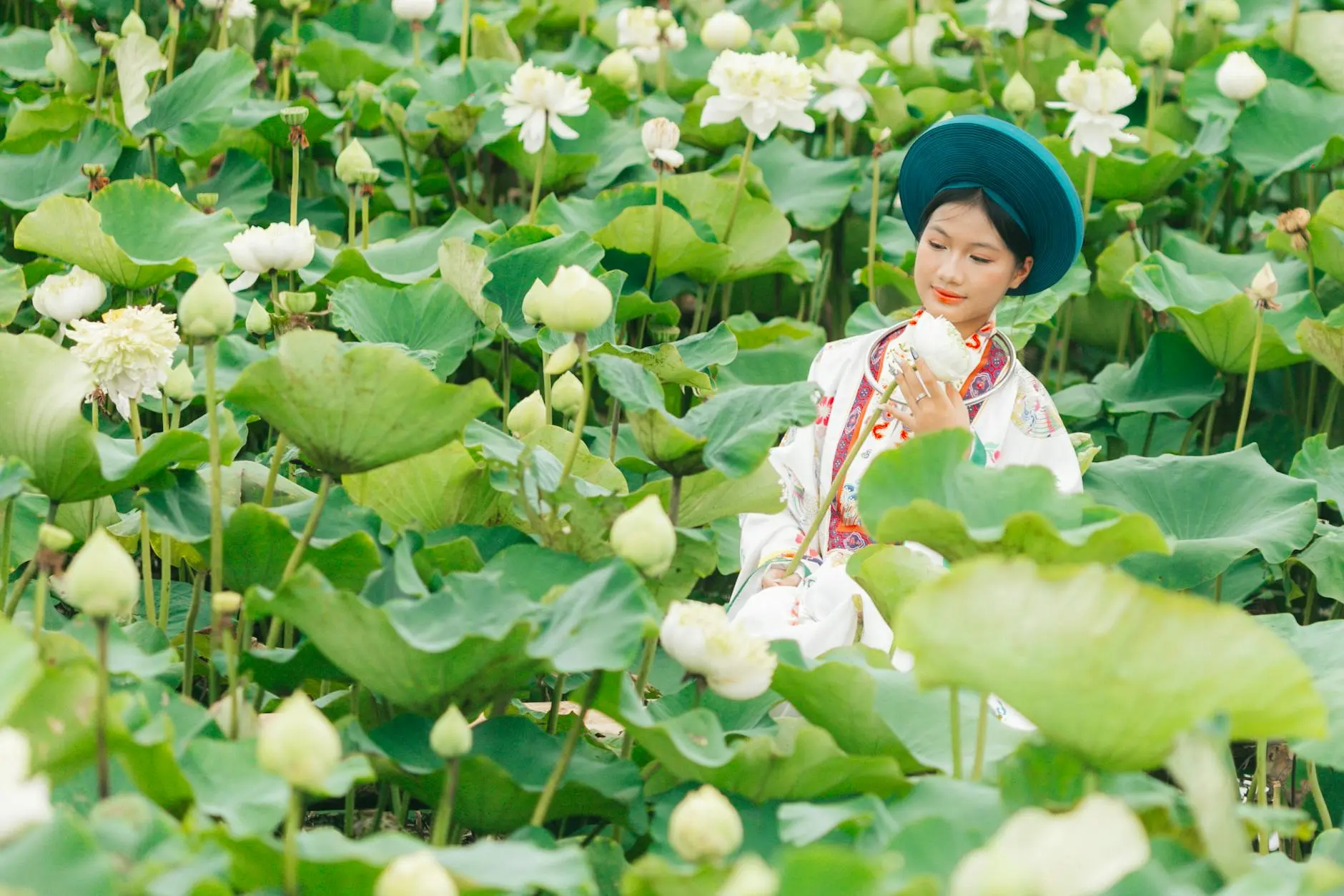 2026白河蓮花季登場串聯賞花美食與農村體驗