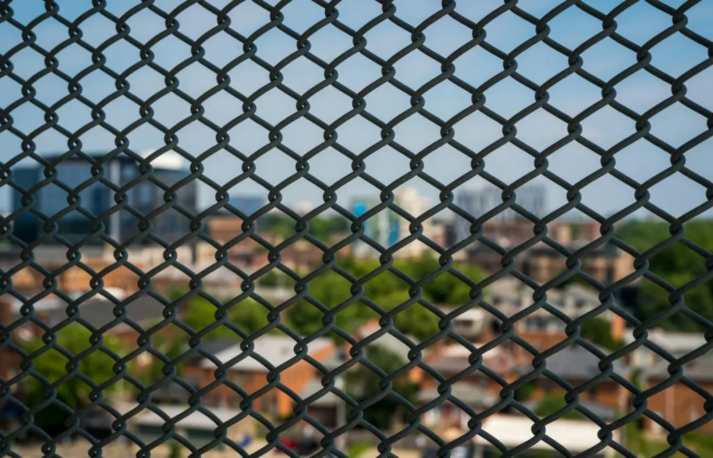首重防堵入侵檢查縫隙 老鼠成日本住宅最常見害獸